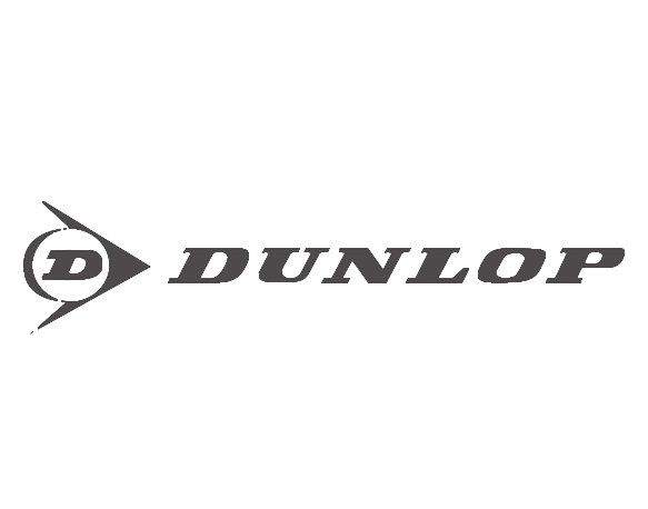 dunlop-gommista-pavia-cambio-gomme-nuove-montaggio-equilibratura-riparazione